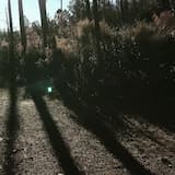 1985年的夏威夷假期