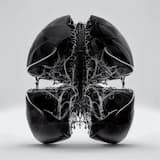 Pulling Me Under [album mix]