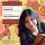 Violin Concerto in D Minor, Op. 47: I. Allegro moderato