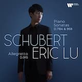 Piano Sonata No. 20 in A Major, D. 959: I. Allegro