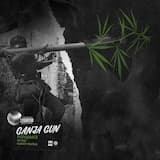 GANJA GUN