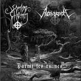 Les racines du vieil arbre