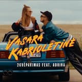 Vasara kabrioletinė