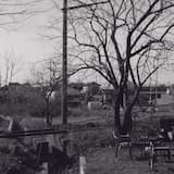 灰野敬二＋MUSQIS