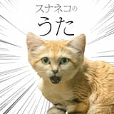 スナネコのうた