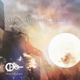 What A Wonderful Summer (Original Mix)