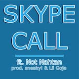 Skype Call