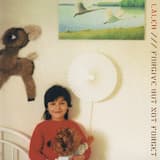 Forgive but Not Forget