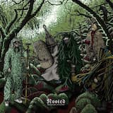 Higher Than a Mountain