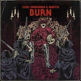 Burn