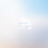 Insight I