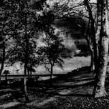 It’s only dark in here because I am the light.