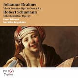 Viola Sonata No. 1 in F Minor, Op. 120: I. Allegro appassionato - sostenuto ed espressivo