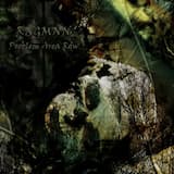 What Goes Around Comes Around