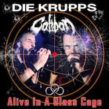 Alive in a Glass Cage