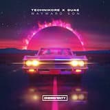 Wayward Son (extended mix)