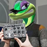 Two Harps, One Gecko