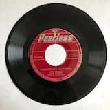 Golondrina presumida