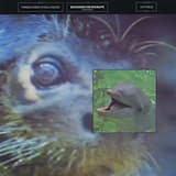 Watching the Wildlife (7″ mix)