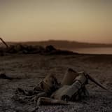 Hasta que vivir valga la pena