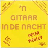 ’n Gitaar in de nacht