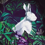 Happy Happy House House