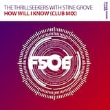 How Will I Know (club mix)