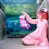 jellyfish - english version