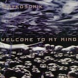Welcome to My Mind (radio mix)