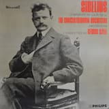 Symphony no. 2 in D major, op. 43: I. Allegretto