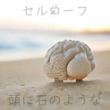 頭に石のような (Like a Stone to the Head)