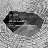 Sonata No. 1 for Violin and Harpsichord in B Minor, BWV 1014: I. Adagio