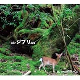 いつも何度でも