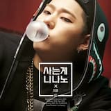 사는게 니나노 (지코 Ver.)