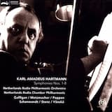 Symphony no. 1 "Versuch eines Requiems": I. Introduktion: Elend. Ich sitze und schaue aus