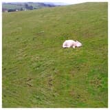 True Blue Grit: Unlikelihoods & Expectations