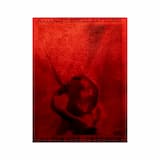 The Wildest Raptures