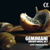 Concerto in D major, H.115: I. Andante