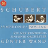 Symphony No. 3 in D Major, D. 200: I. Adagio Maestoso-Allegro Con Brio