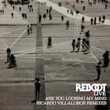 Are You Loosing My Mind (Ricardo Villalobos Hauswiedermischung)