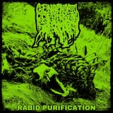 Rabid Purification