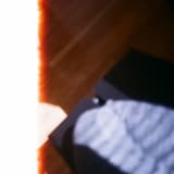 Conflict as Instinct