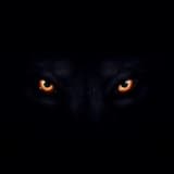 Powerful metal trap track for video