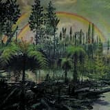 The Oldest Living Thing