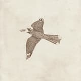 Mama (To Disappear in Place Version)