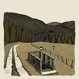 The Fleadh at Tulla / The Skeleton Key