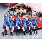 きんいろローダンセ