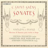 Violin Sonata no. 1 in D minor, op. 75: I. Allegro agitato –