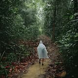 Bung Jagoi - In the Forest 0236