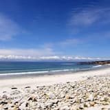 Nice Beach (no lead)